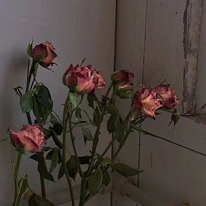 清醒梦（prod.Raspo