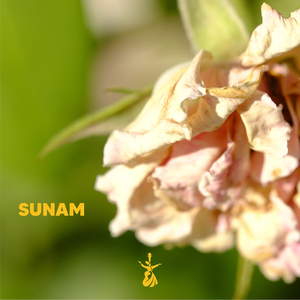 Sunam