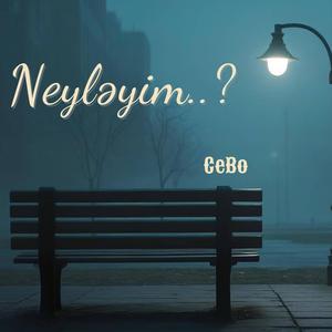 Neyləyim