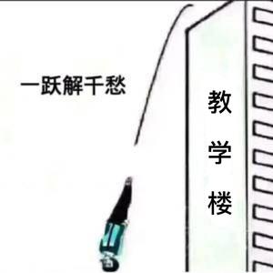 学习什么的，不干了啦！！！