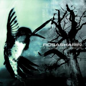 Evangeline (Keep the Windows Rolled Up)