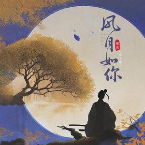 风月如你 (DJ黄周豪版)0.9x版