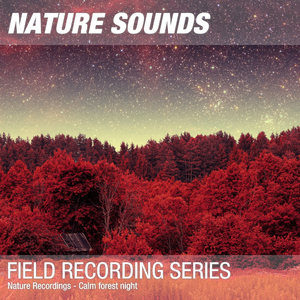 Nature Sounds for Sleep, Relaxation & Meditation (Calm forest night, crickets) 02