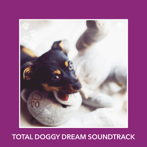 Serene Understanding