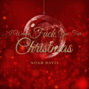 I Wanna F**k You For Christmas