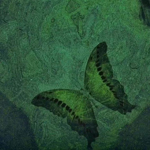 空欢喜（Prod：by邓森_Dsen)