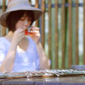 月光传说《美少女战士》长笛版