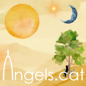 Ciutadà de l'Univers