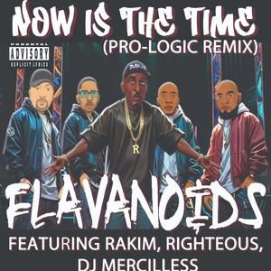 Now Is The Time(PRO-LOGIC RMX) (feat. Dj Mercilless, Righteous & Rakim)