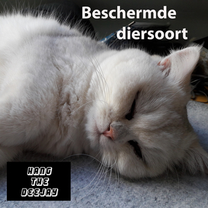 Beschermde Diersoort