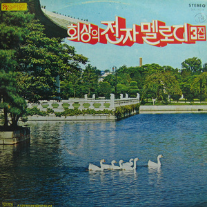 기타치는 마도로스