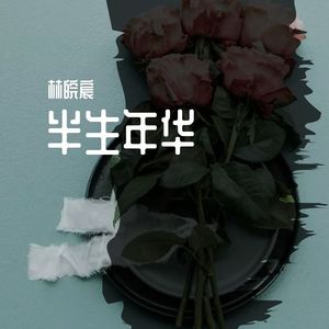半生年华