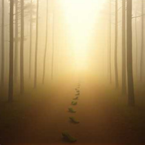 O Caminho Certo