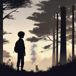 少年梦