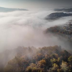 Niebla