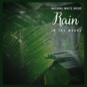 Natural White Noise: Rain in the Woods, Pt. 04
