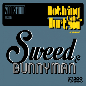 Nothing Can Hurt You (Original Mix)