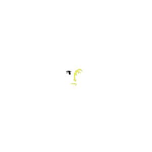 Chant in C