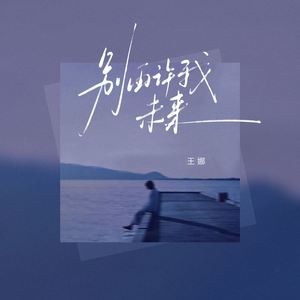 别再许我未来
