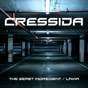 The Secret Ingredient (Original Mix)