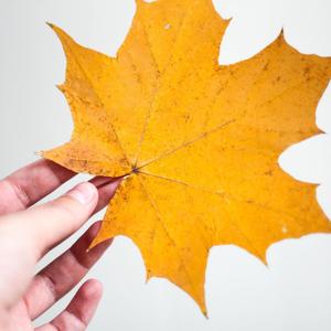 gangstamax[PROD BY XVIBE]