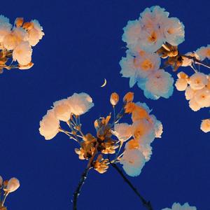 时间轴（孟子坤live）