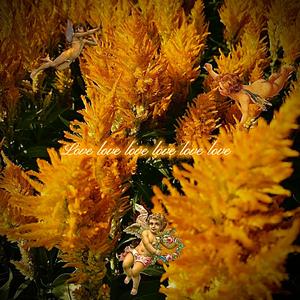 Love love love love love