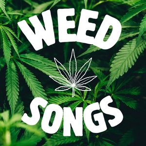 Kush (Big Gigantic Remix)
