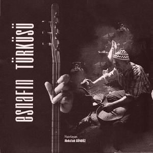 Hanım Arabaya Binmiş