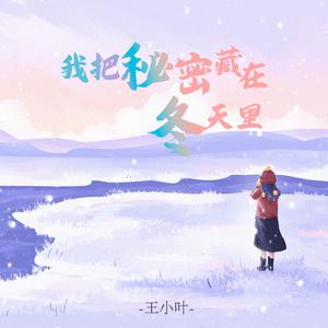 我把秘密藏在冬天里