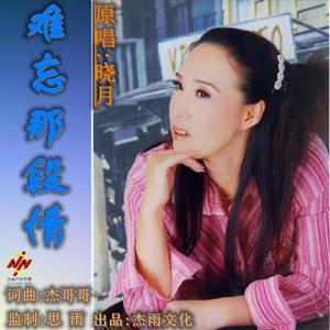 难忘那段情