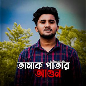 তামাক পাতার আগুন