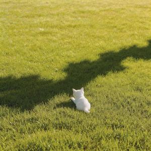 一半一半（Acoustic）