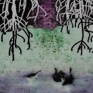 Kita Bisa Merasakan Cinta