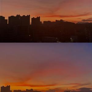 山楂树之恋（翻自程佳佳）