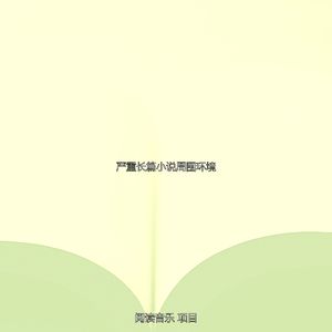 优美长篇小说器乐