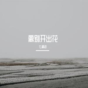 希望你被这个世界爱着