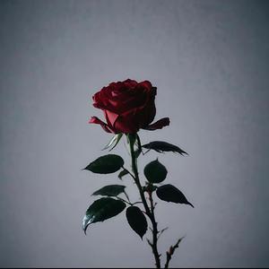 Gareth.T-跟悲伤结了账(Gareth.T/揽佬SKAI ISYOURGOD)（Zay梓 remix）