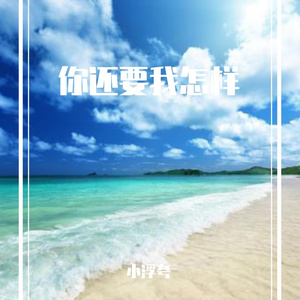 你还要我怎样