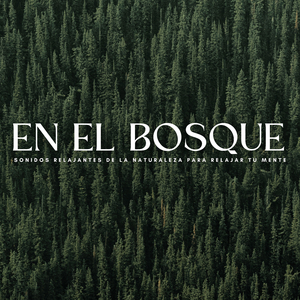 Un Bosque Despierto