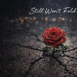 Still Wont Fold