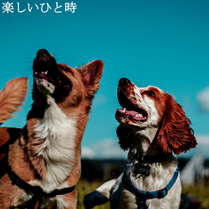 Magnificent Backdrops for Breathing Shadows