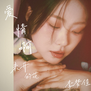 爱情啊 未开的花