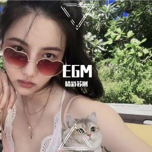 杨千嬅-处处吻 (旋律dj版)（精彩苏刚 remix）