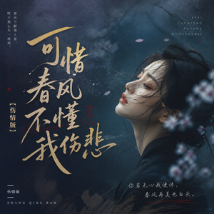 可惜春风不懂我伤悲（伤情版）