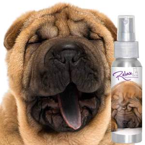 Looking for self 寻觅自我(Formal edition)