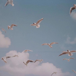 桃诺(zyboy与cici合唱）