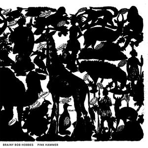 Blühen und verglühen