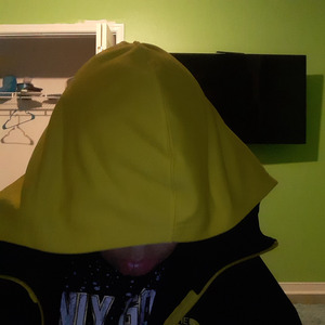 Why Did I Ever Love You