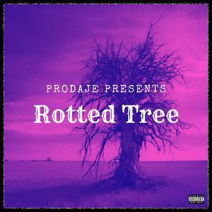 Rotted Tree